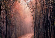 巴萨vs皇马即将对决，这场世纪德比最终比分会是多少？